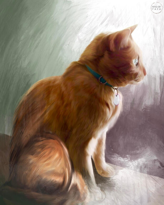 Kitty