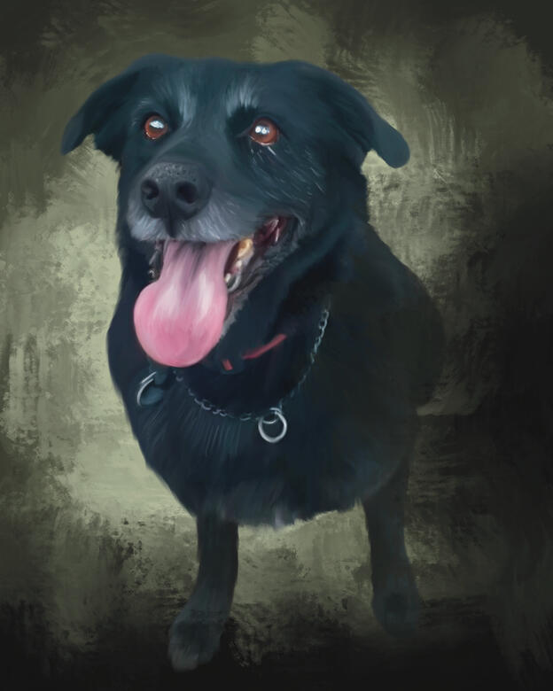 Dog